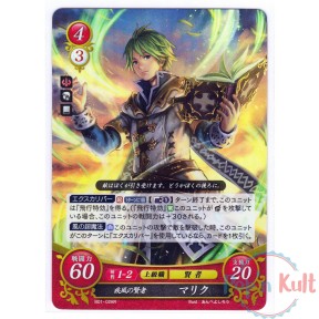 Fire Emblem 0 Cipher Card...