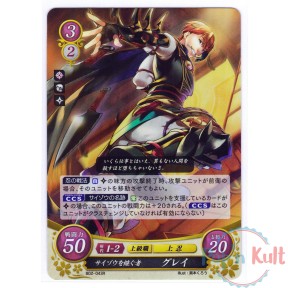 Fire Emblem 0 Cipher Card...