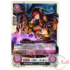 Fire Emblem 0 Cipher Card...