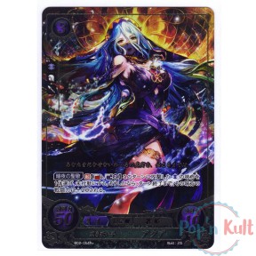 Fire Emblem 0 Cipher Card...