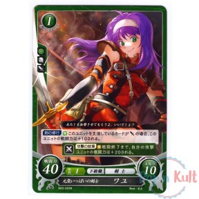 Fire Emblem 0 Cipher Card...