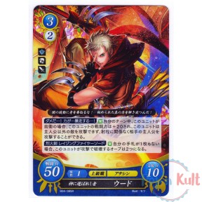 Fire Emblem 0 Cipher Card...