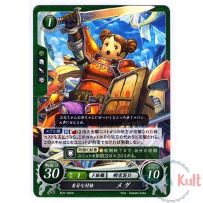 Fire Emblem 0 Cipher Card...