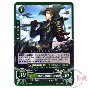 Fire Emblem 0 Cipher Card...