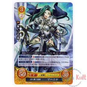 Fire Emblem 0 Cipher Card...