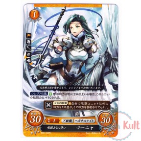 Fire Emblem 0 Cipher Card...