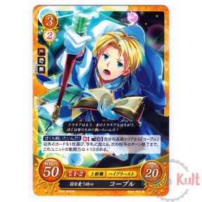 Fire Emblem 0 Cipher Card...