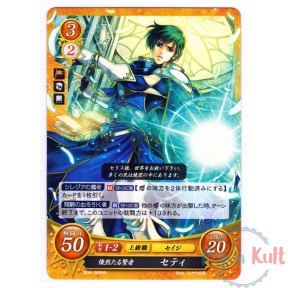 Fire Emblem 0 Cipher Card...