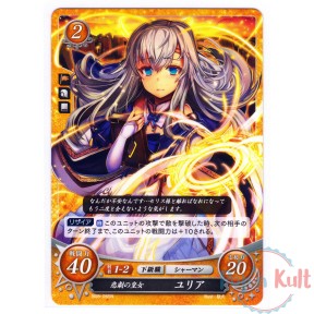 Fire Emblem 0 Cipher Card...