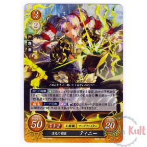 Fire Emblem 0 Cipher Card...