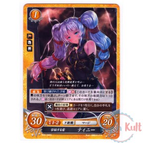 Fire Emblem 0 Cipher Card...