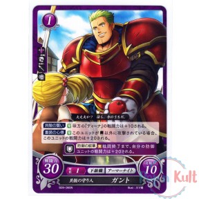 Fire Emblem 0 Cipher Card...