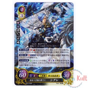 Fire Emblem 0 Cipher Card...