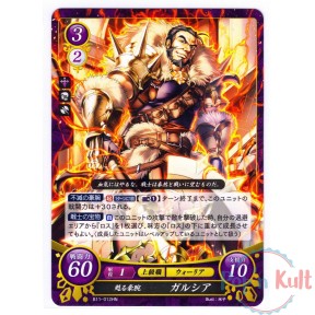 Fire Emblem 0 Cipher Card...