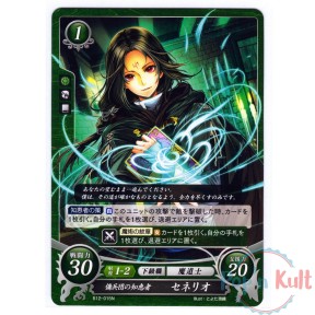 Fire Emblem 0 Cipher Card...