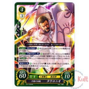 Fire Emblem 0 Cipher Card...