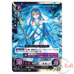 Fire Emblem 0 Cipher Card...