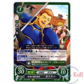 Fire Emblem 0 Cipher Card...