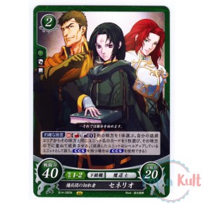 Fire Emblem 0 Cipher Card...