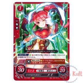 Fire Emblem 0 Cipher Card...