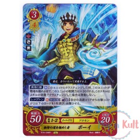 Fire Emblem 0 Cipher Card...