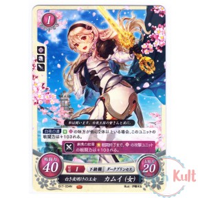 Fire Emblem 0 Cipher Card...