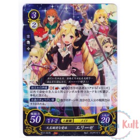 Fire Emblem 0 Cipher Card...