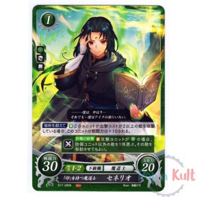 Fire Emblem 0 Cipher Card...