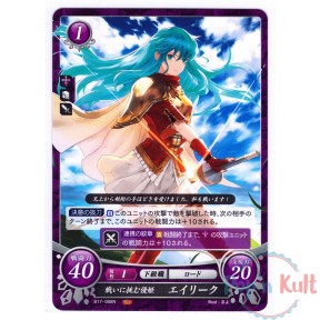 Fire Emblem 0 Cipher Card...