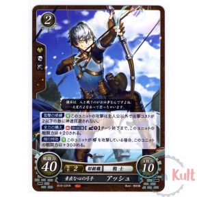 Fire Emblem 0 Cipher Card...