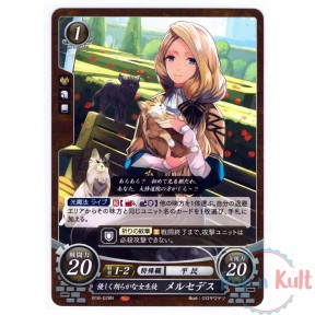 Fire Emblem 0 Cipher Card...