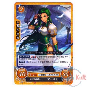 Fire Emblem 0 Cipher Card...