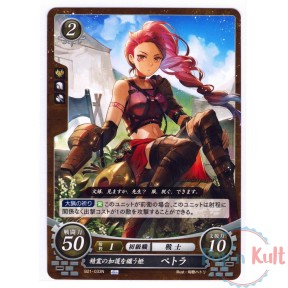 Fire Emblem 0 Cipher Card...