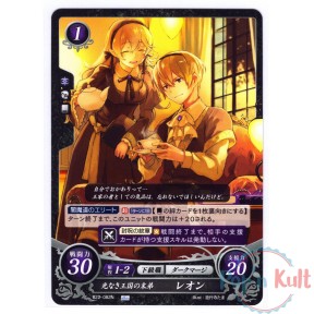 Fire Emblem 0 Cipher Card...