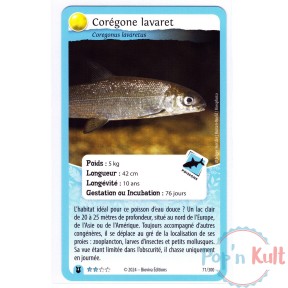 Carte Défis Nature Protect...