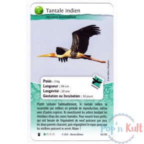 Carte Défis Nature Protect...