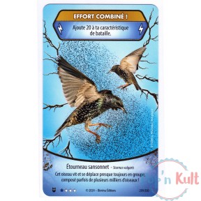 Carte Défis Nature Protect...