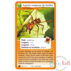 Carte Défis Nature Protect...