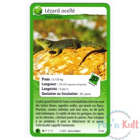 Carte Défis Nature Protect...