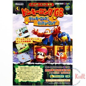 Flyer Donkey Kong Land III...